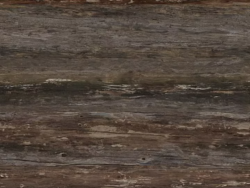 Bark texture (ID:ffaeh144046)