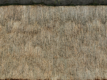 Thatched roof texture (ID:ffacg35988)