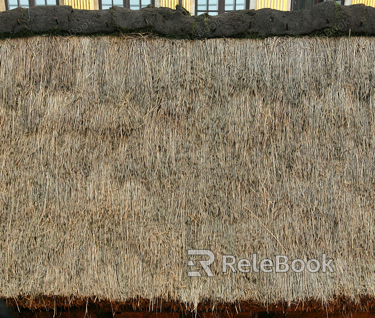 Thatched roof texture