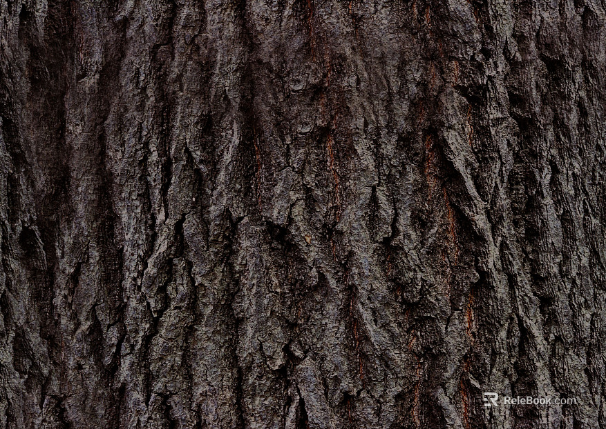 bark texture