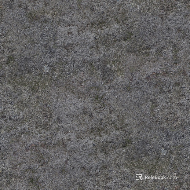 ground grass lawn turf plants sand texture