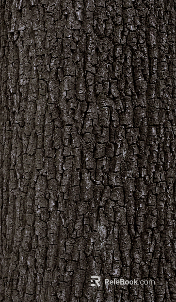 bark texture