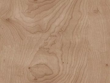 Wood Grain Light Bird's Eye Maple texture (ID:ffacf7814)