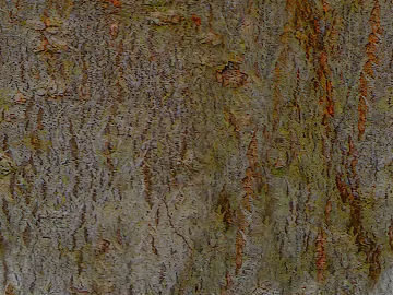 bark texture (ID:ffaag32012)