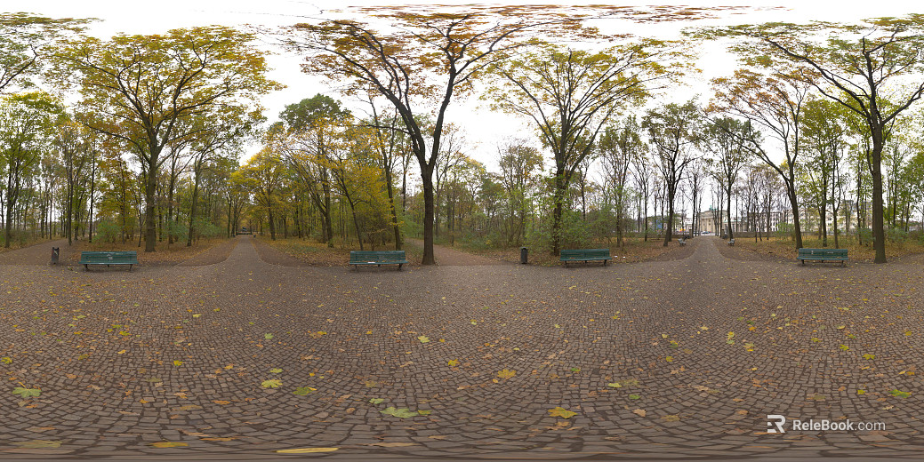 Outdoor Recreation Forest Park HDR texture