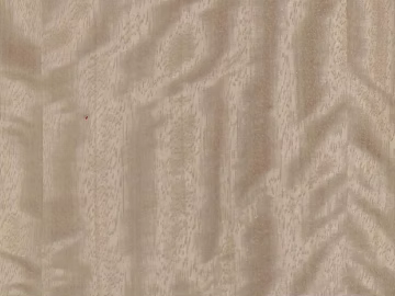 Plywood texture (ID:ffacf6288)