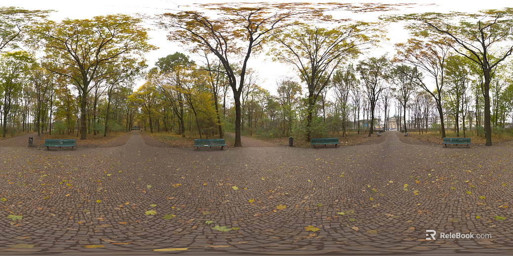 Leisure Holiday Park Woods HDR texture