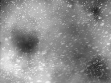 Black and white dust texture (ID:ffach911561)