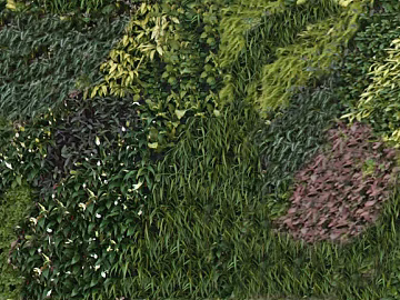 Plants texture (ID:ffagg87599)