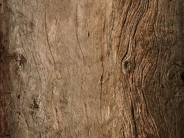 bark texture (ID:ffaeg37045)