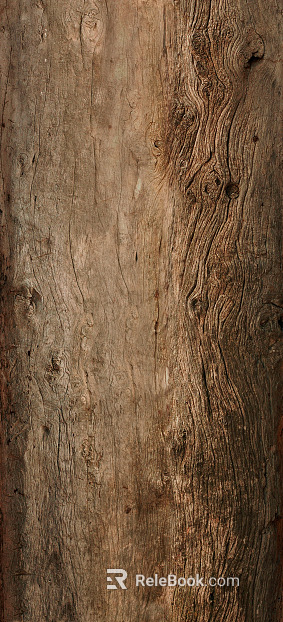 bark texture