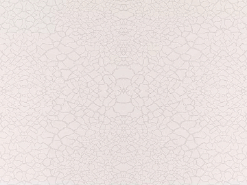 Wallpaper Wall Cloth Wallpaper Background Wall Cloth Plain Wallpaper texture (ID:ffach412248)