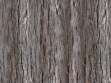bark texture (ID:ffagg27186)
