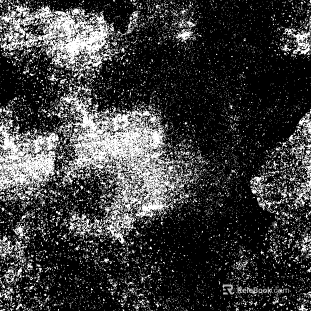 Highlight Mask texture