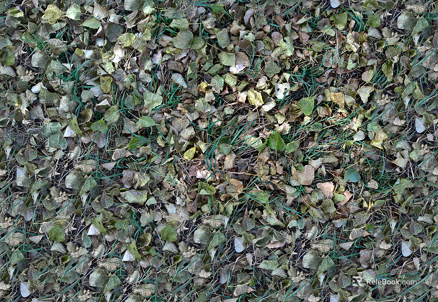 Litter and deciduous turf grass lawn ground texture