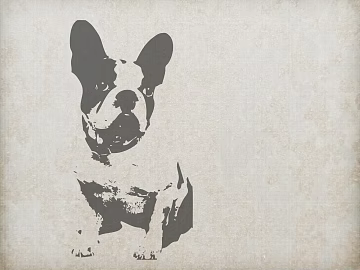 Animal painting texture (ID:ffabg93160)