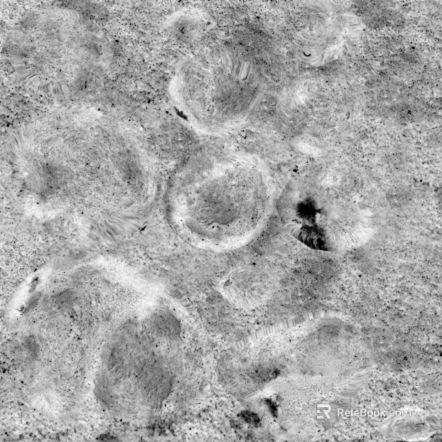 Black and White Bump texture