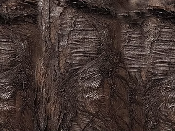 bark texture (ID:ffacg86629)