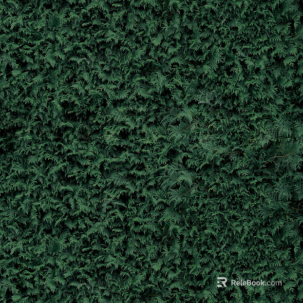 Plants texture