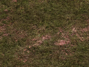 mountain ground grassland texture (ID:ffajh729747)