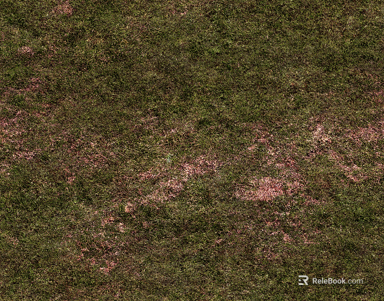 mountain ground grassland texture