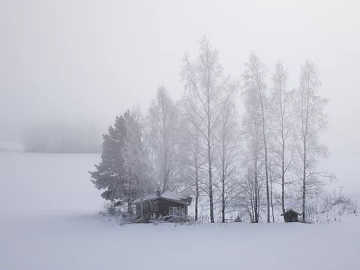 Snow texture (ID:ffacg31944)