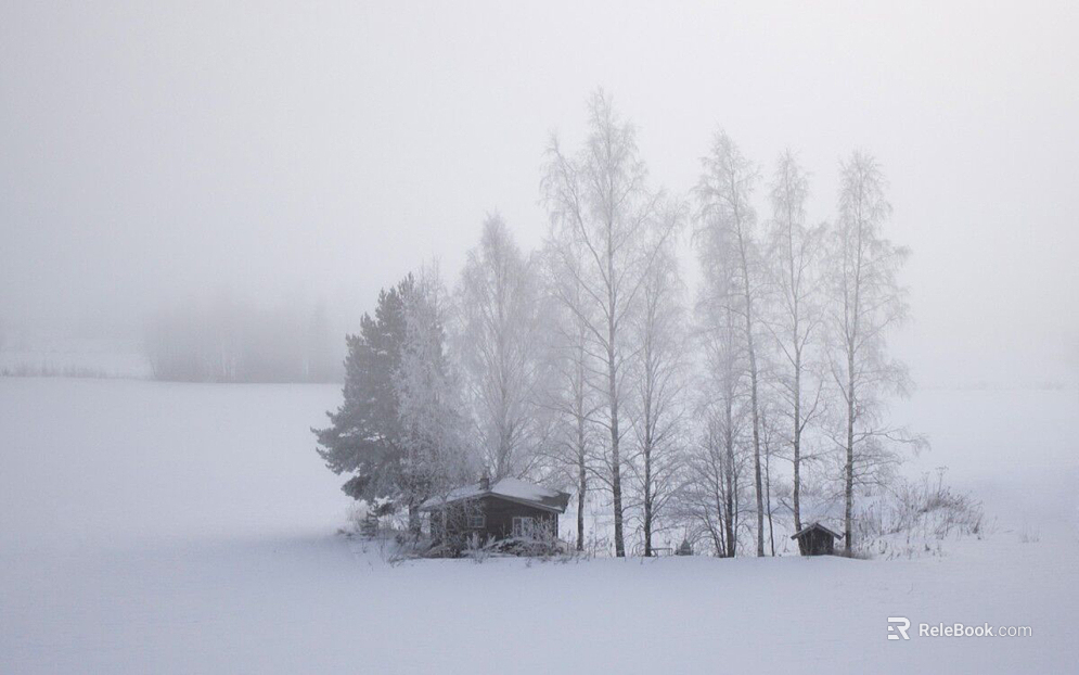 Snow texture