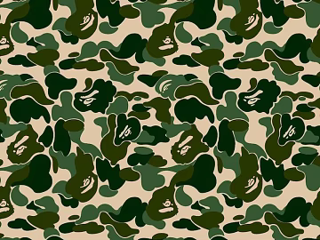 Camouflage texture (ID:ffajg31929)