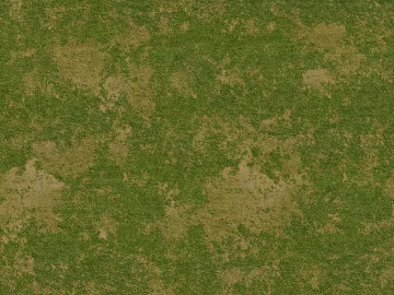 Turf texture (ID:ffacg41963)
