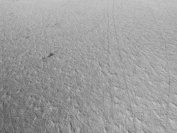 Ground texture (ID:ffagg46230)