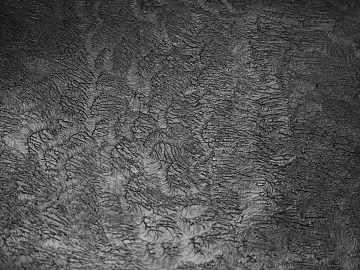 Black and White Bump texture (ID:ffajh440477)