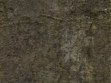 bark texture (ID:ffaif4420)