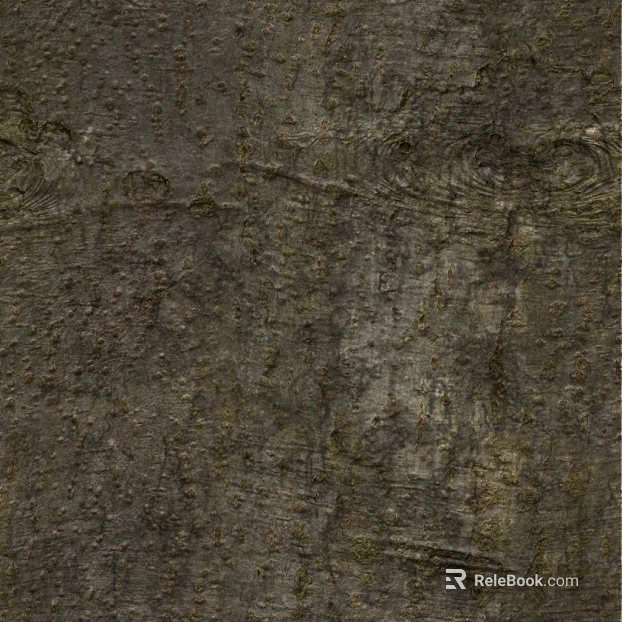 bark texture