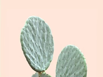 Plant painting texture (ID:ffaag63399)