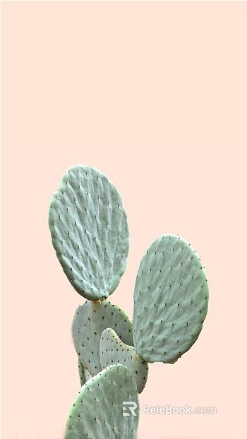 Plant painting texture