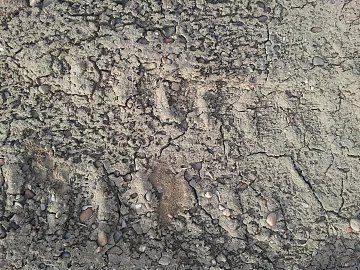Mud wall texture (ID:ffabg23130)