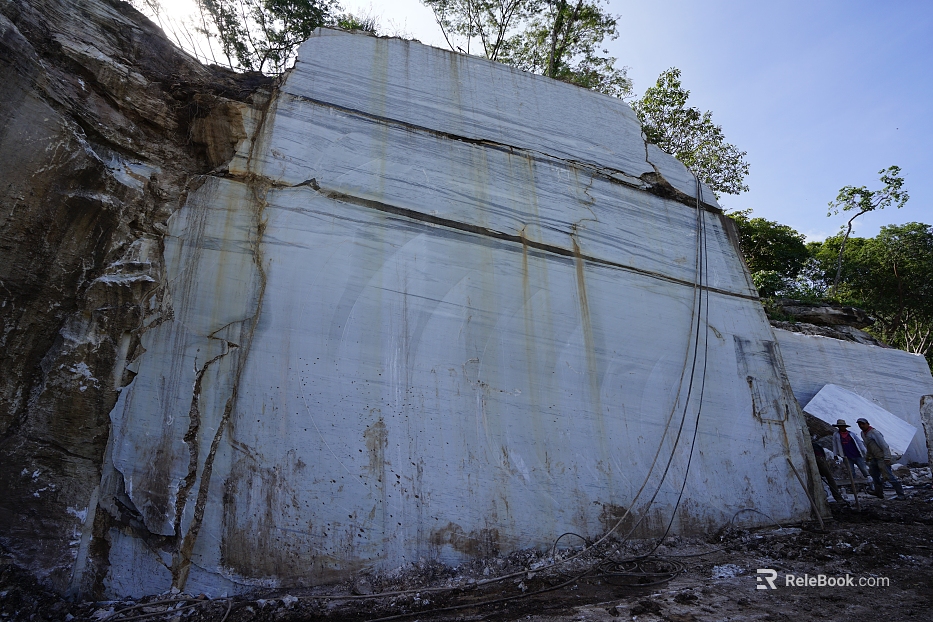 Wild Scenery texture