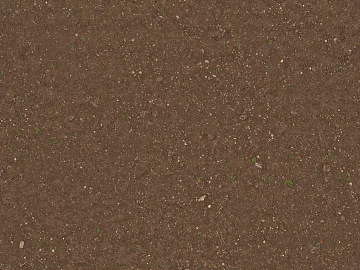 Soil texture containing weeds 3d model