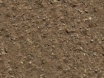 Mud texture (ID:ffadf5000)