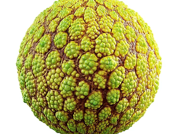 Biological PBR texture (ID:ffach464994)