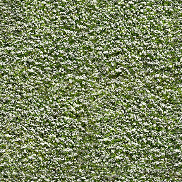 modern mountain moss texture