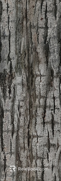 Black-gray bark natural decorative surface texture