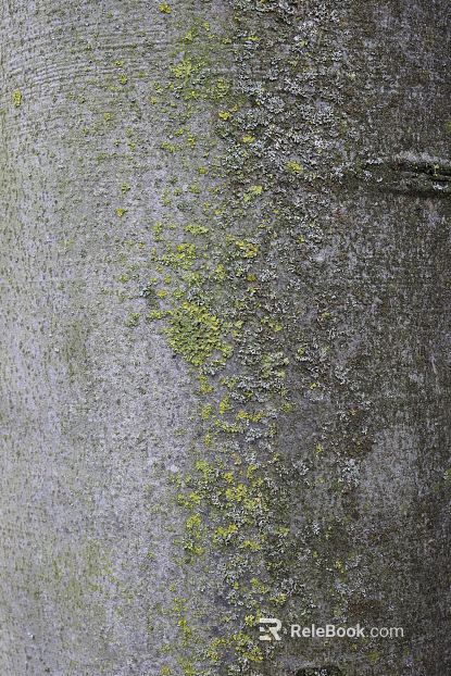 Rock wall texture