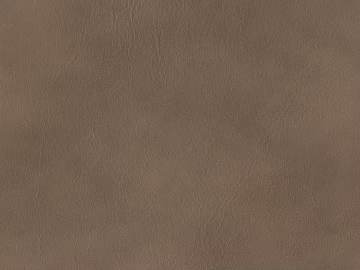 fine grain leather 3d model