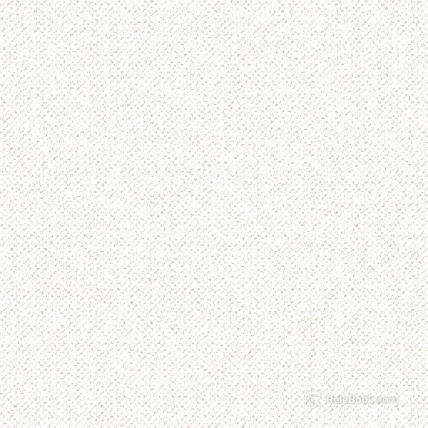 plain cloth texture
