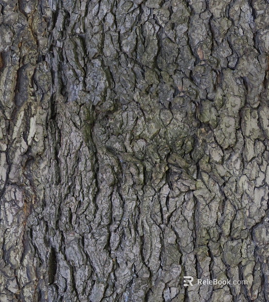bark texture