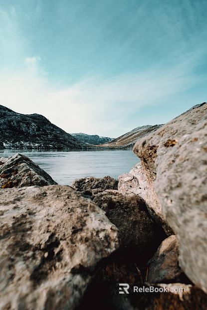Wild Scenery texture