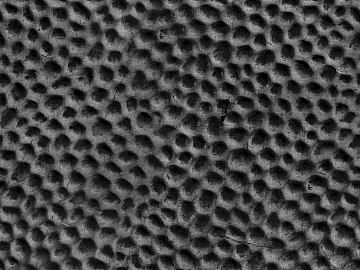 Dark gray old perforated metal plate texture (ID:ffaeh325839)