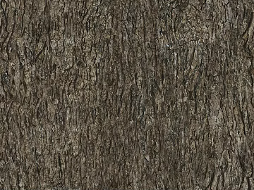 bark texture (ID:ffach157166)