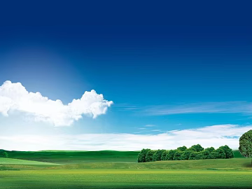 Wild Scenery texture (ID:ffadf8742)